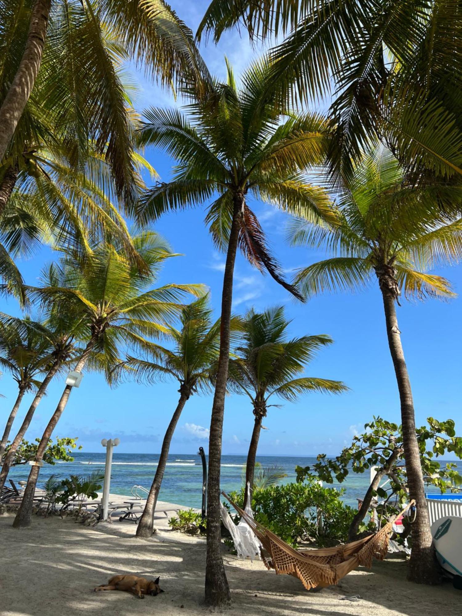 Guadeloupe- Saint-Francois- Residence Anse Des Rochers - Appartement Quart De Villa Etage - Vue Mer- 4 Personnes - Lit Bebe Sur Demande - Citerne Et Wifi Prives -Animaux Ok-Acces Plage Direct -Apnee Bien-Etre Experience Sur Demande Avec Instructeur A المظهر الخارجي الصورة