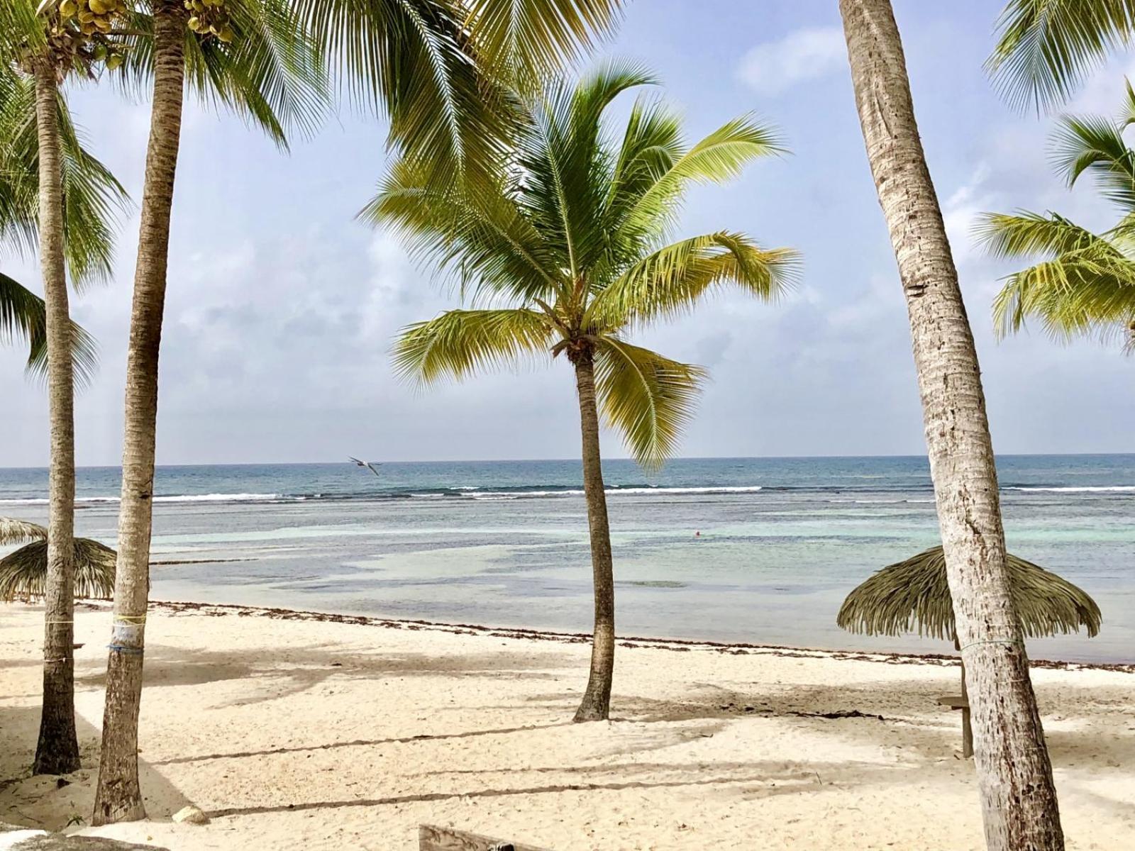 Guadeloupe- Saint-Francois- Residence Anse Des Rochers - Appartement Quart De Villa Etage - Vue Mer- 4 Personnes - Lit Bebe Sur Demande - Citerne Et Wifi Prives -Animaux Ok-Acces Plage Direct -Apnee Bien-Etre Experience Sur Demande Avec Instructeur A المظهر الخارجي الصورة